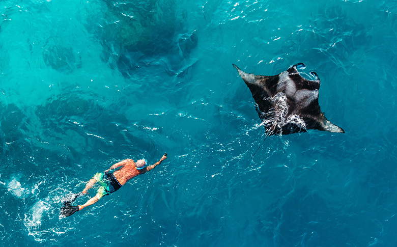Schnorcheln mit Mantarochen Schnorcheln mit Mantas auf Inselhopping Malediven